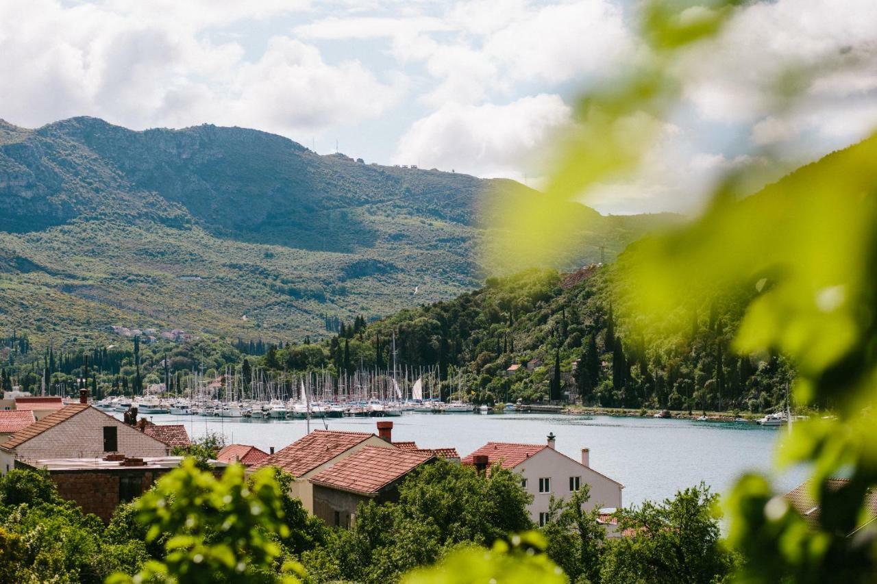 Dubravka Apartmani Mokošica 외부 사진